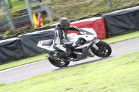 Fowlers 0266