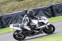 Fowlers 0268