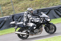 Fowlers 0298