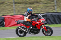 Fowlers 0373
