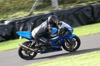 Fowlers 0406
