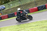 Fowlers 1100