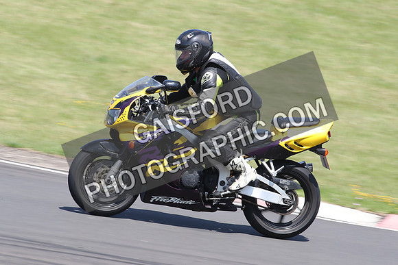 BIKES 1231