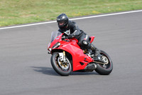 BIKES 0978