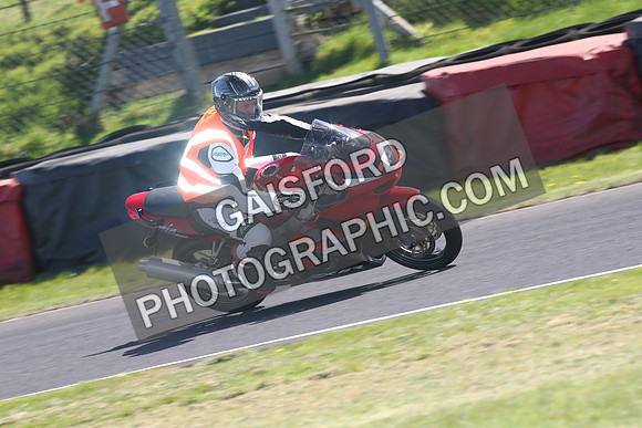 BIKES 1619