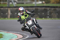 BIKES 1273