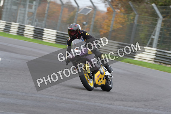BIKES 0388