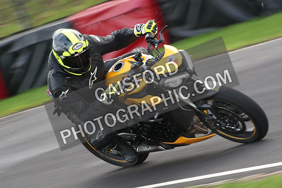 BIKES 0833