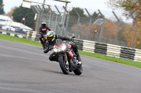 BIKES 0352