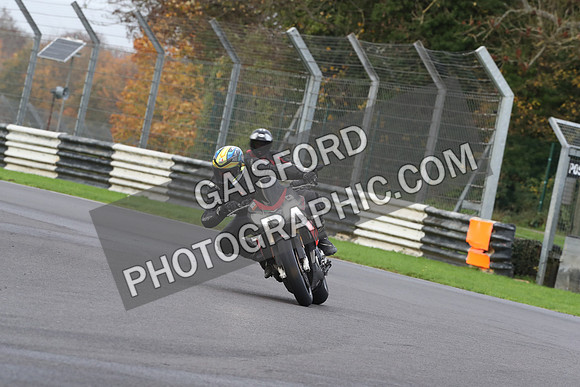 BIKES 0383