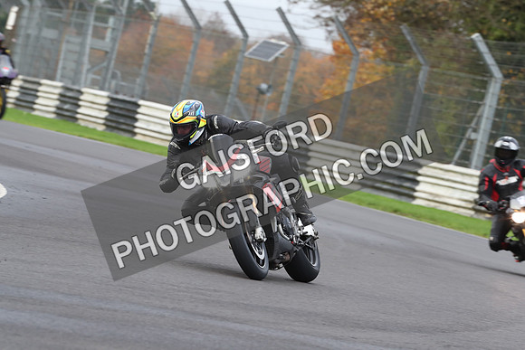 BIKES 0384