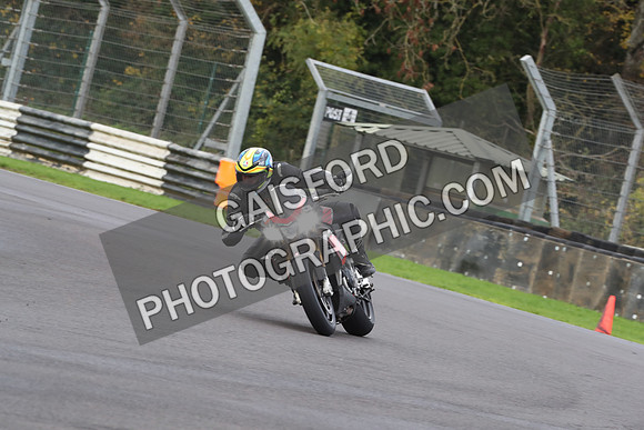 BIKES 0464