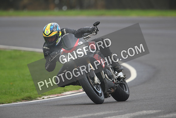 BIKES 1482