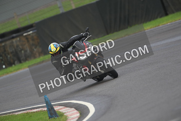 BIKES 1517