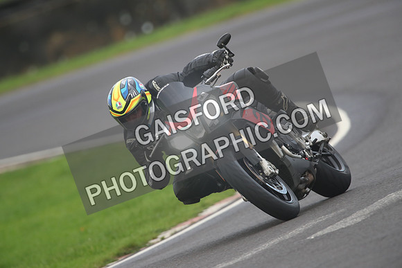 BIKES 1519