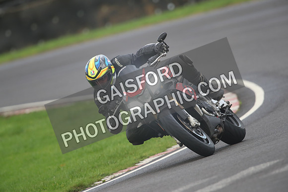 BIKES 1548