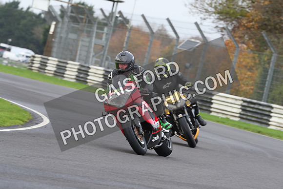BIKES 0393
