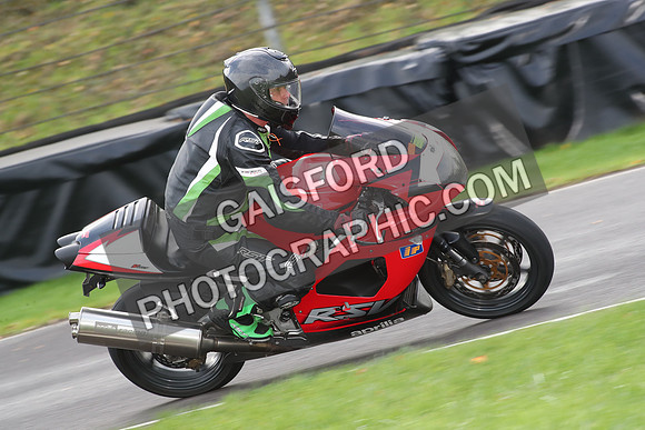 BIKES 0784