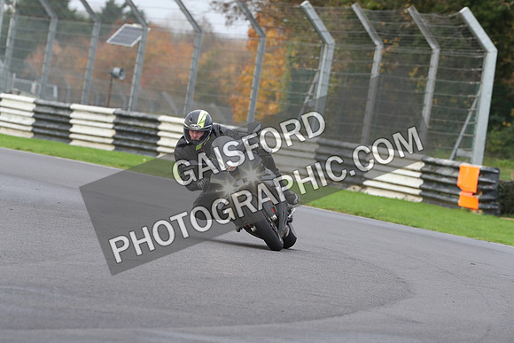BIKES 0341