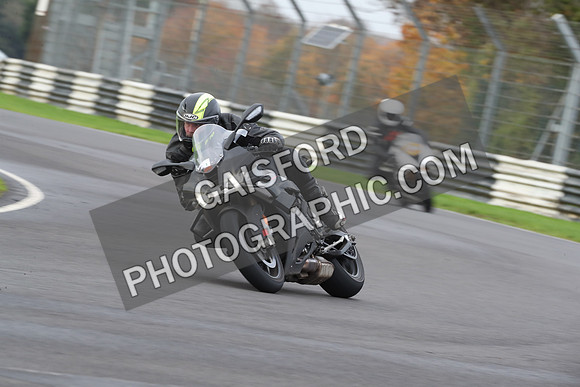 BIKES 0448