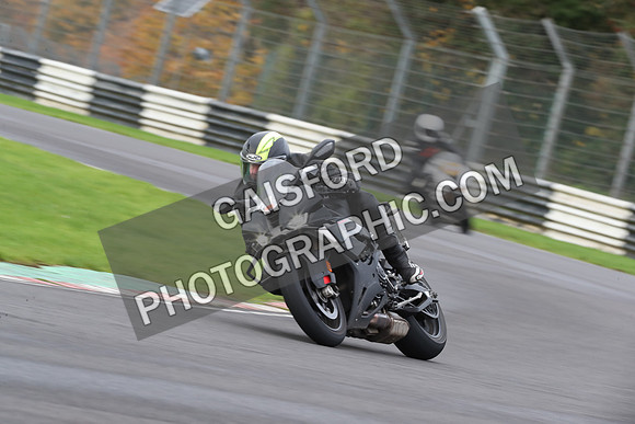 BIKES 0479