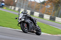 BIKES 0480