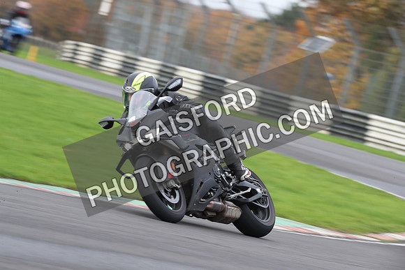 BIKES 0480