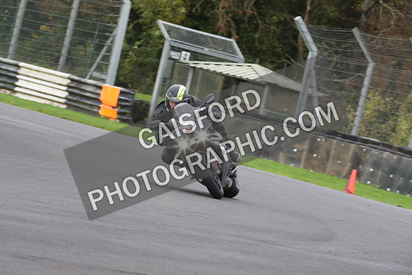 BIKES 0478