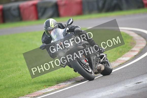 BIKES 2175