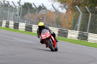 BIKES 0333