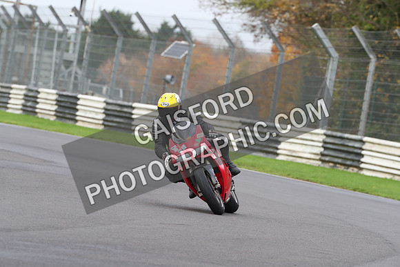 BIKES 0333