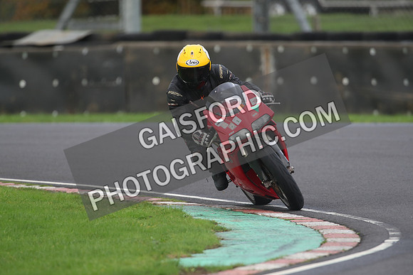 BIKES 1429