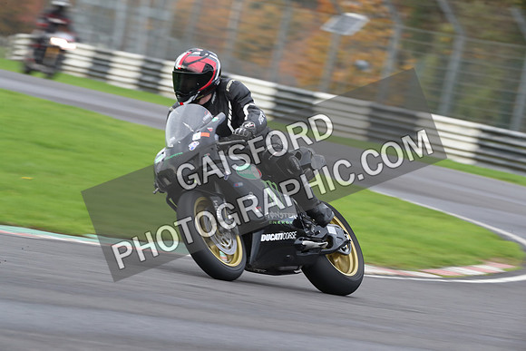 BIKES 0457