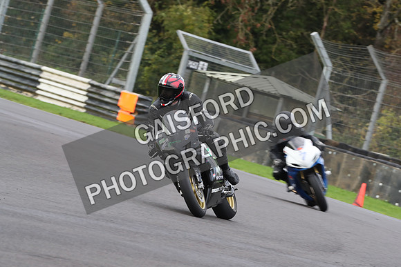 BIKES 0491