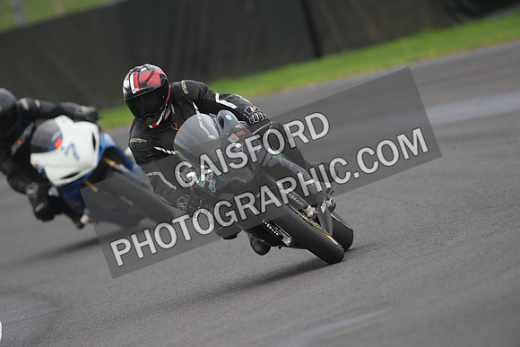 BIKES 1539