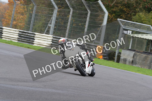 BIKES 0398