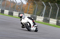 BIKES 0399
