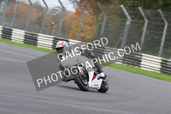 BIKES 0399