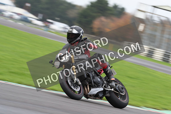 BIKES 0489