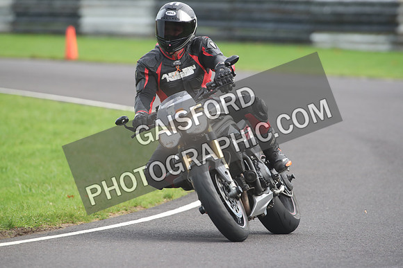 BIKES 2055