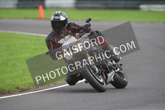 BIKES 2100
