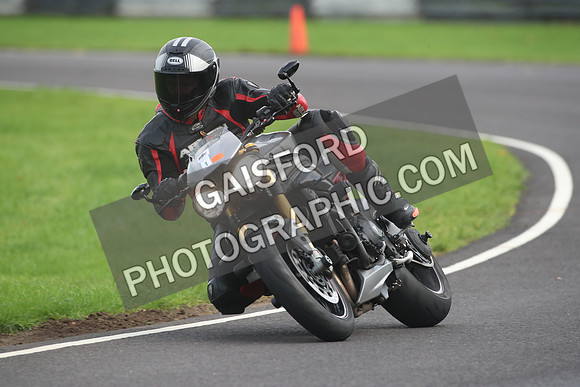 BIKES 2101