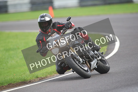 BIKES 2133