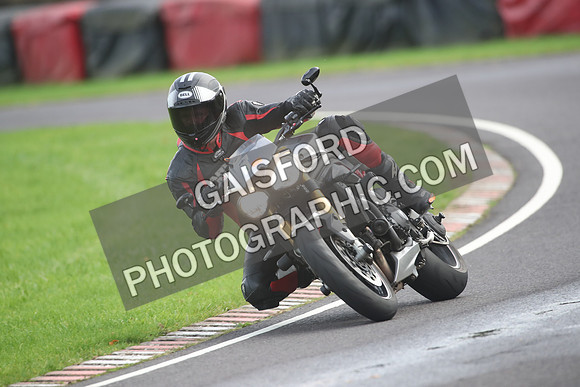 BIKES 2172