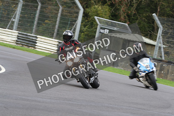 BIKES 0488
