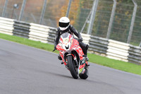 BIKES 0563