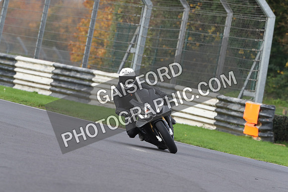 BIKES 0532