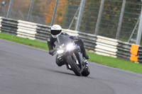 BIKES 0533