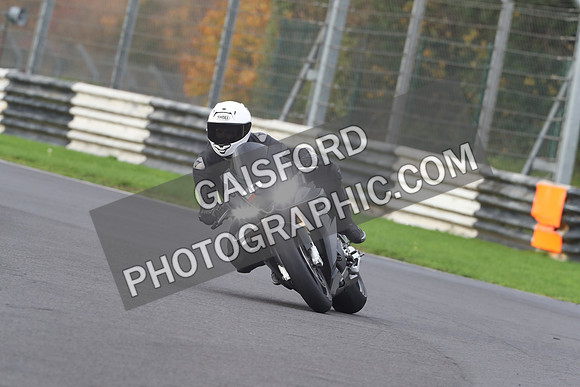 BIKES 0533