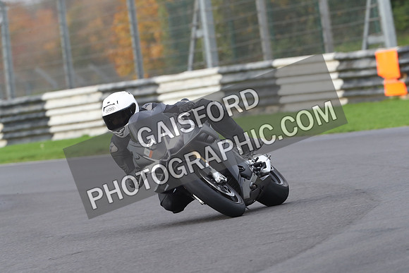 BIKES 0568